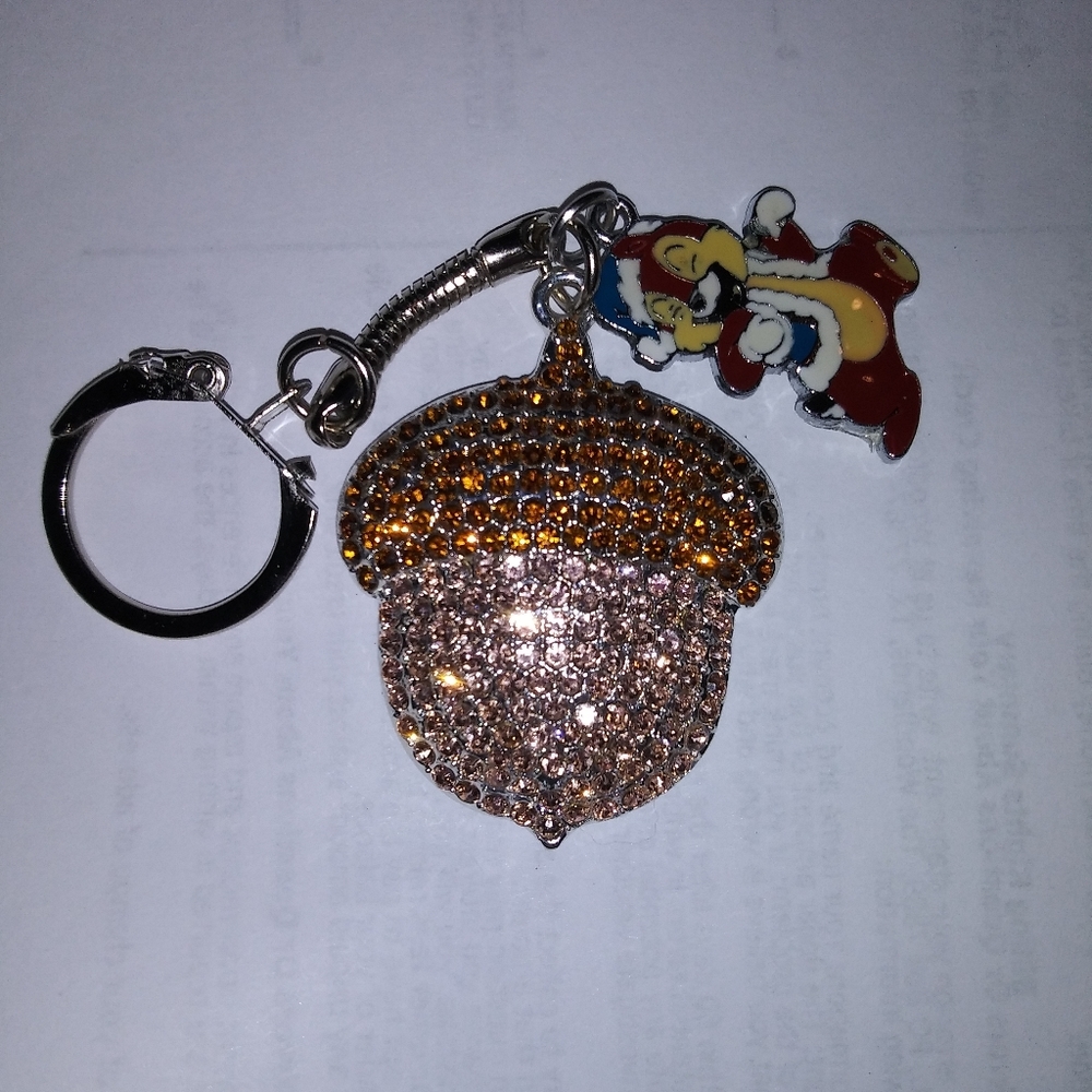 Acorn keychain with a chipmunk